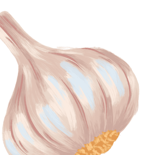 Bawang Putih